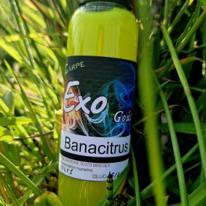 Exo gout Banacitrus (jaune)