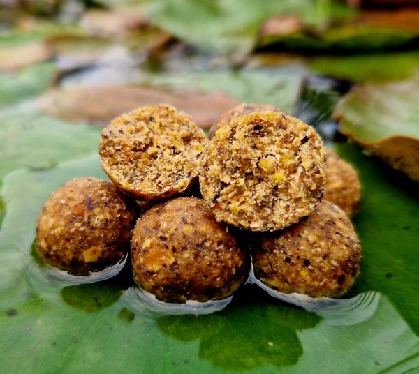 MF Noix de coco – Image 2