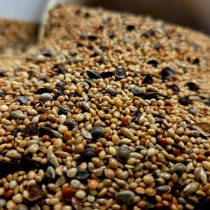 Mélange Particules sans sarrasin