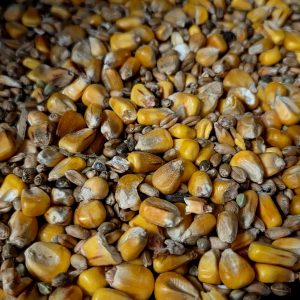 Mélange Amorçage sans sarrasin