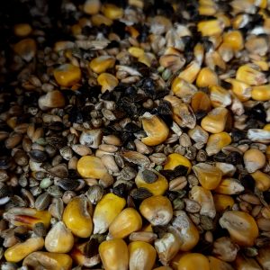 Mélange Amorçage avec sarrasin