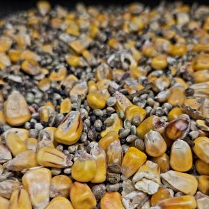 Mélange Amorçage "Premium